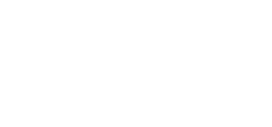 FlirtEmpire-LogoN-weiß-weiß-600px